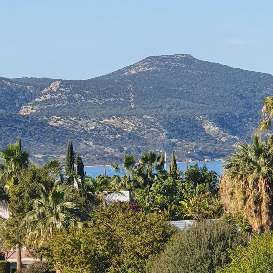 Latchi Ithaki, 2 Bedroom Penthouse 外观 照片