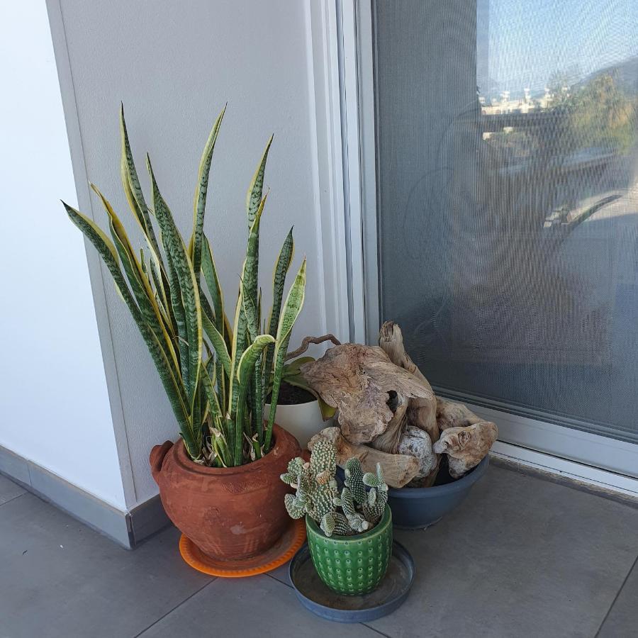 Latchi Ithaki, 2 Bedroom Penthouse 外观 照片